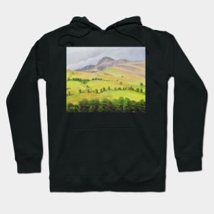 Aran Fawddwy Hoodie